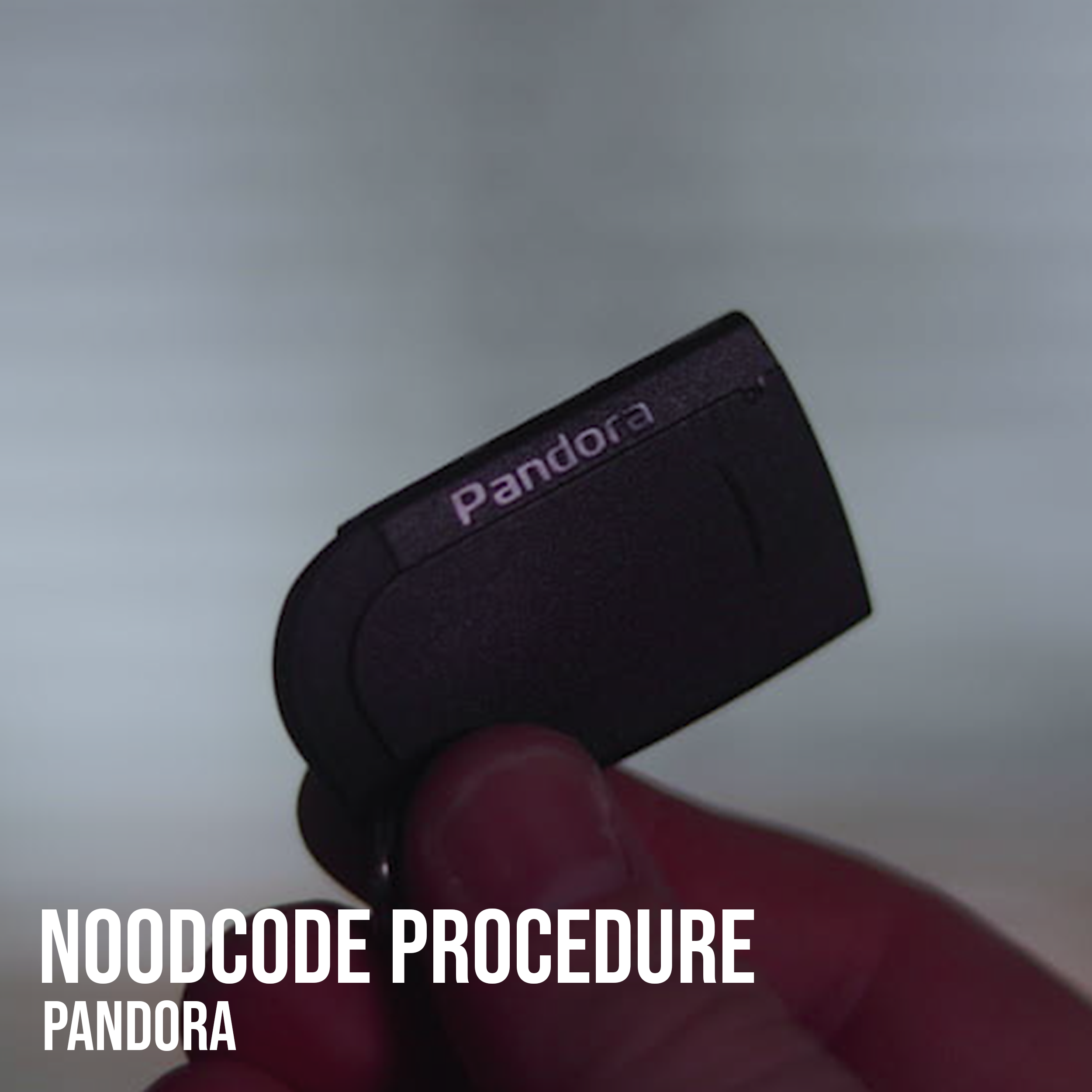 Pandora noodcode